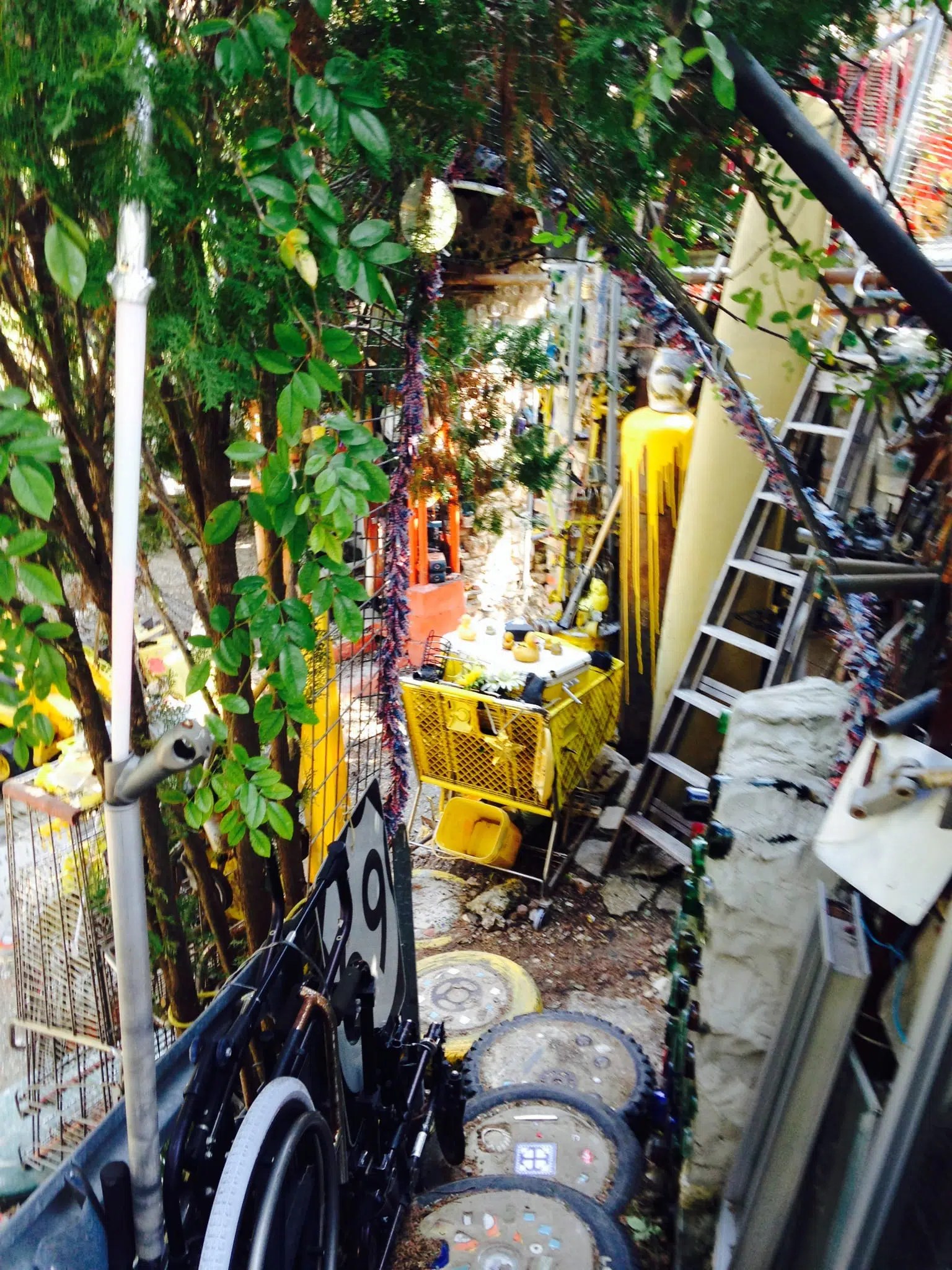 photo 1 (2) photo 1 (2)